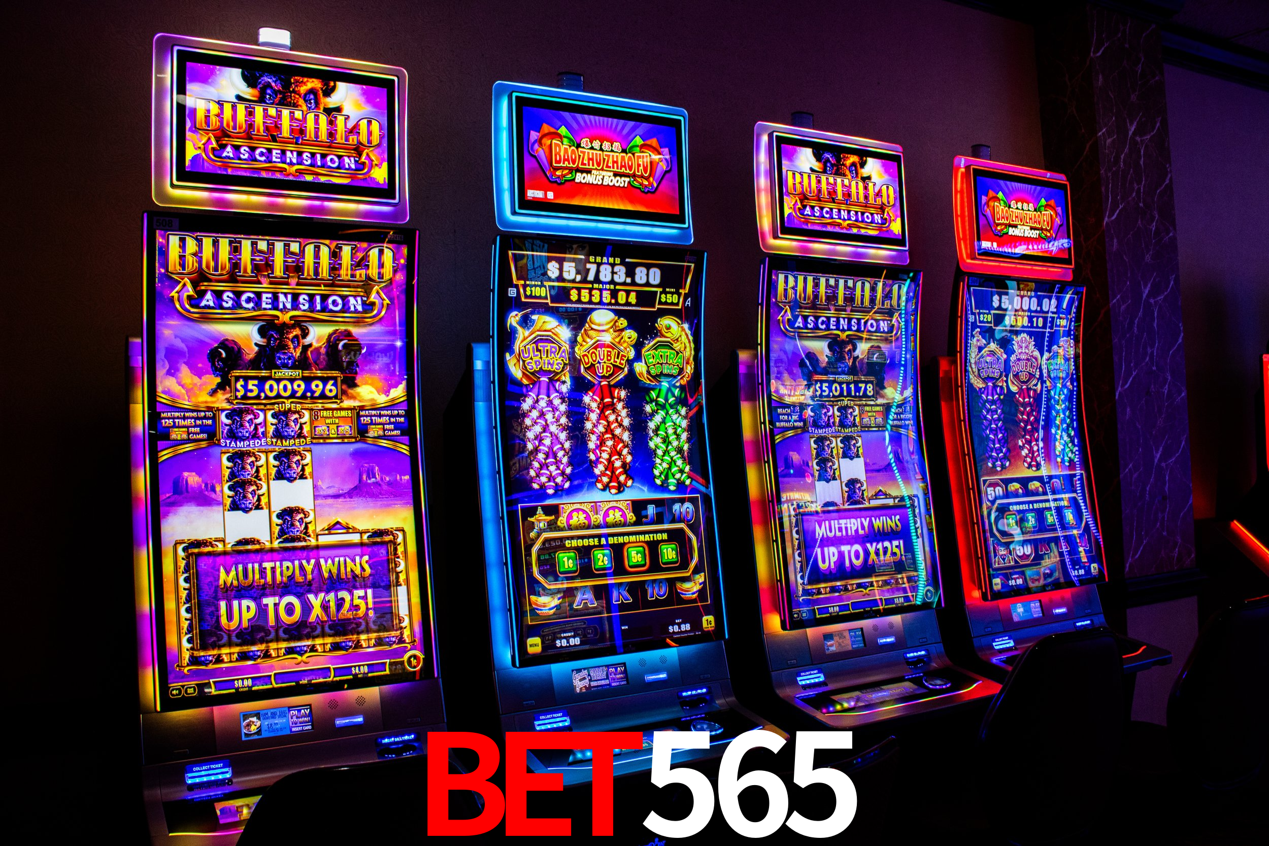Platform Technology bet565